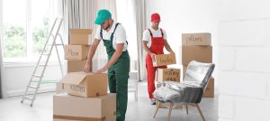 mover and packer in Fujairah