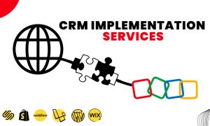 CRM Implementation Service
