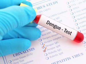 Increase Platelets in Dengue