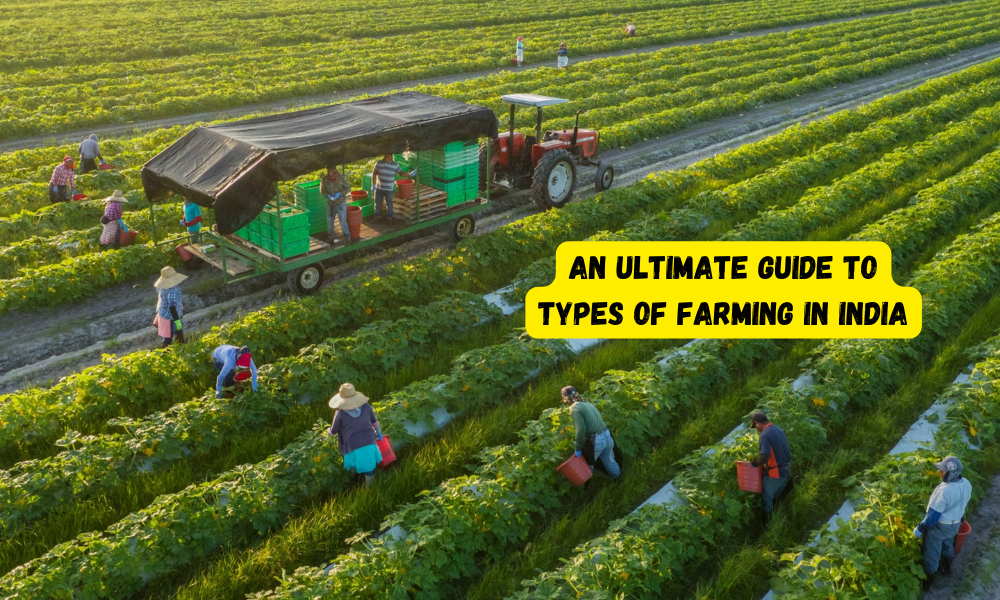 An Ultimate Guide to Types of Farming in India