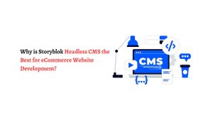 CMS development company
