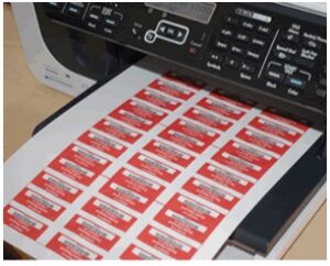 Font Sizing: Reading Data Below The Bars Correctly