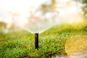 How Sprinklers Help Reduce Water Waste